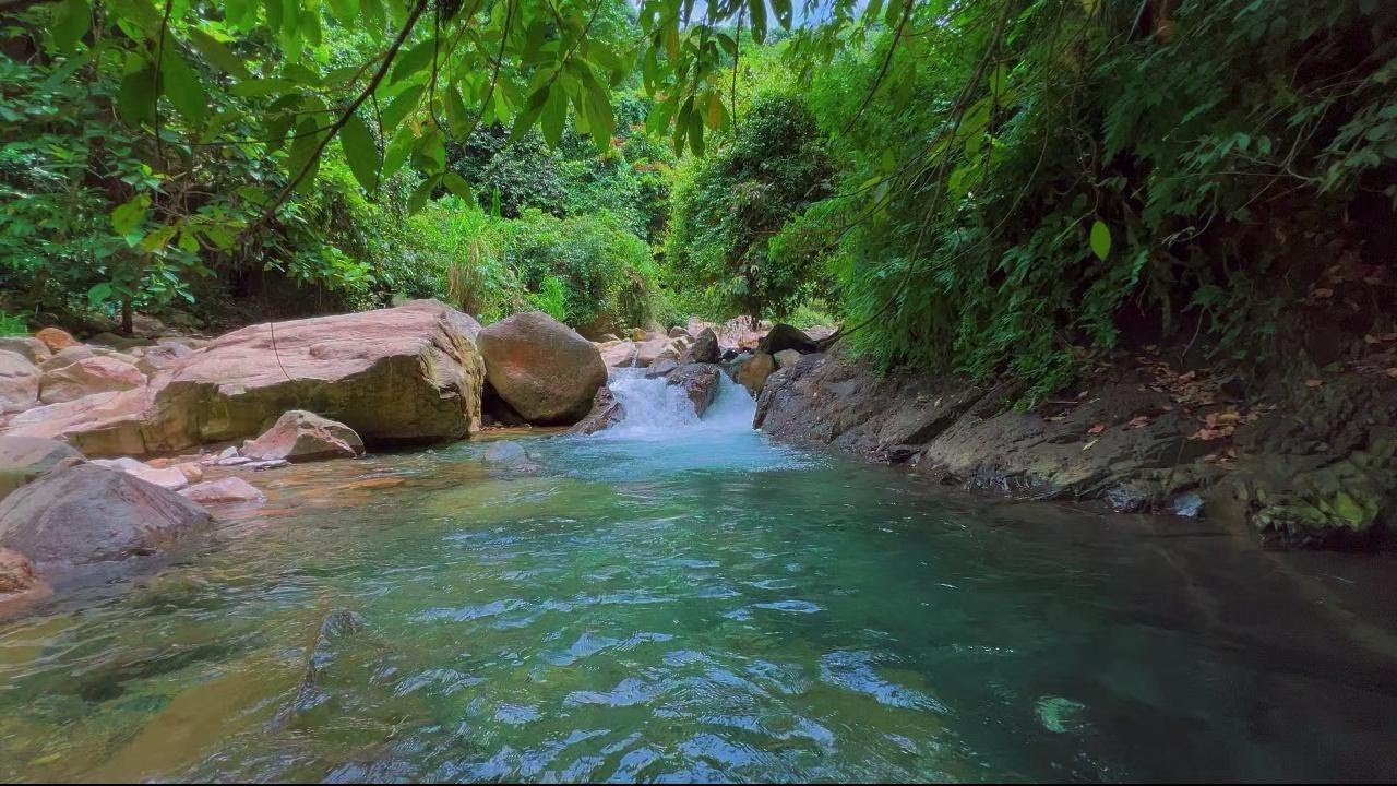 Nature River Ambience for Deep Sleep and Healing | Water Sounds for Calm and Quiet Night | 4K-HDR