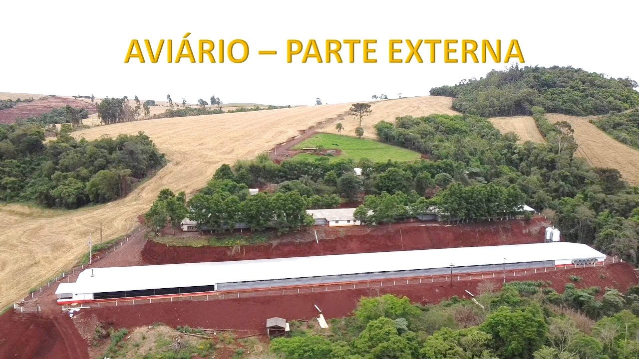 AVIÁRIO - PARTE EXTERNA