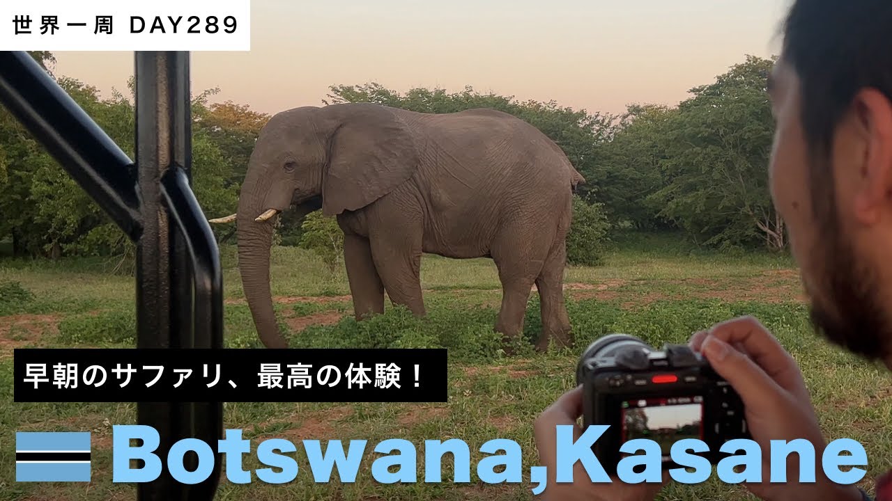 🇧🇼ボツワナ・カサネのチョベ国立公園でサファリ体験！動物にたくさん会えた！ゾウ、ライオン、キリン、カバ、野鳥などなど【世界一周】Day289