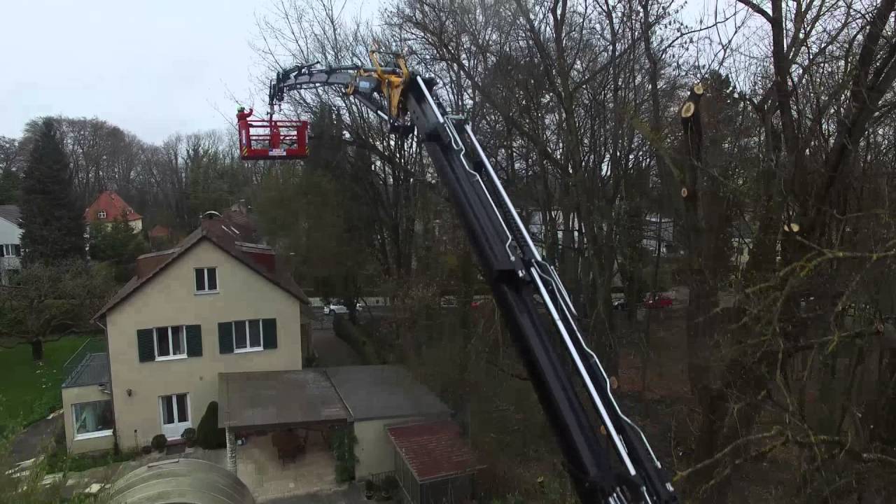 Baumpflege mit Effer 685 6S + 6S heavy duty und Sky 4 400