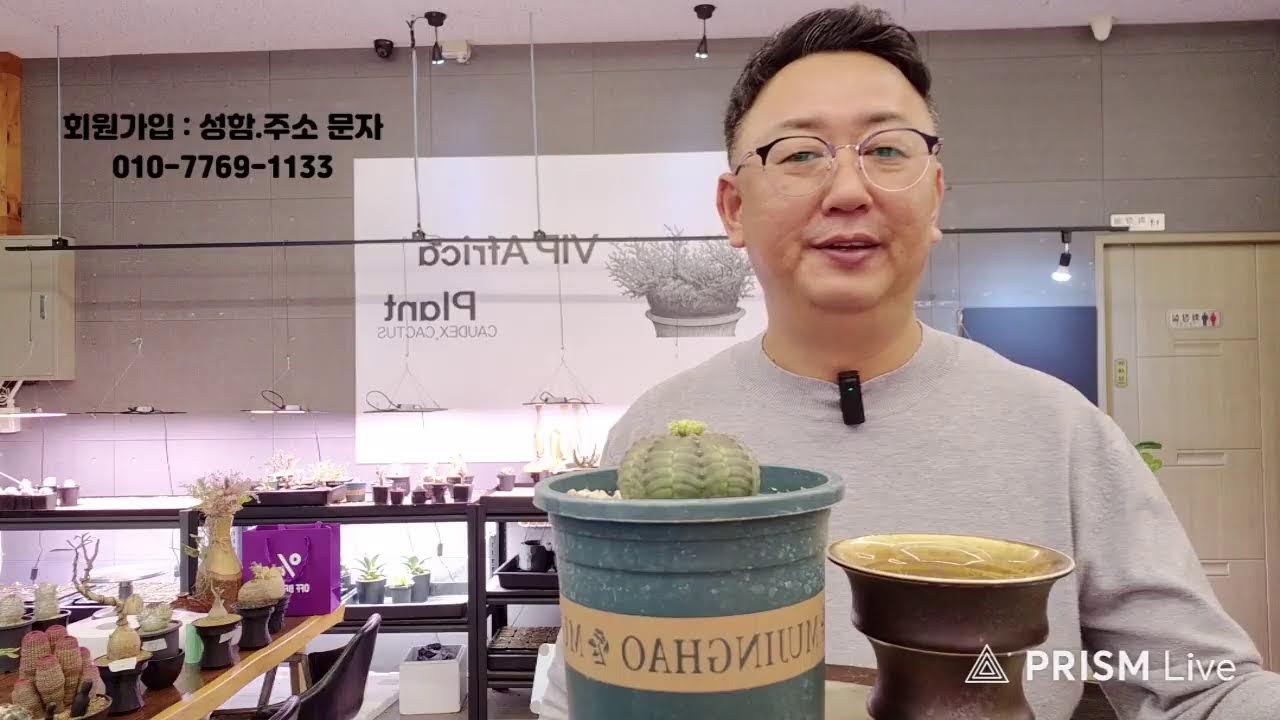 VIP아프리카식물 2월06일 라이브 방송