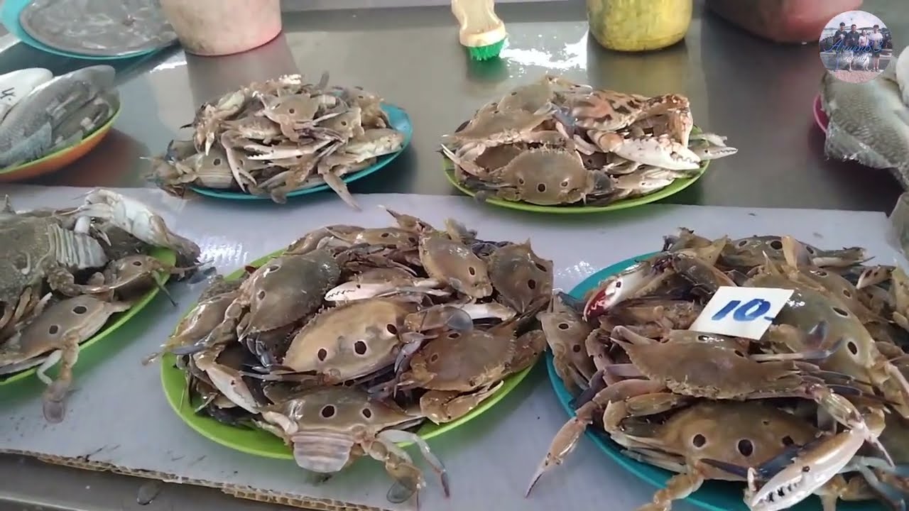 BINTULU BORNEO WEEKEND MARKET 