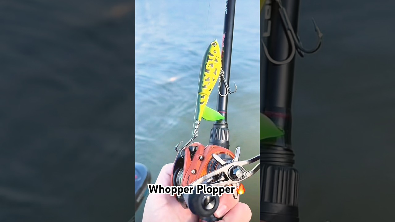 Best Lures For Fall Bass Fishing🎣💪