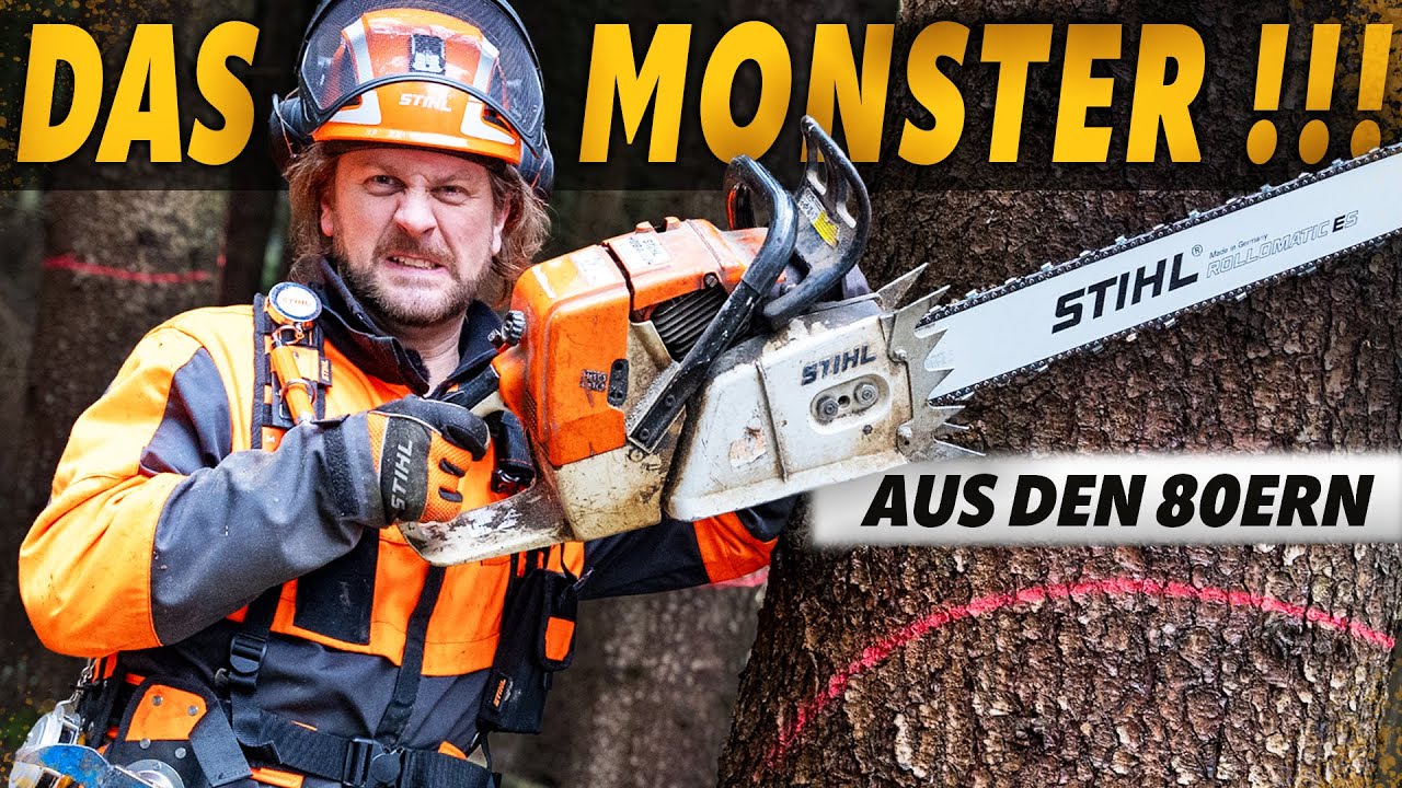 🌲Trifft der Baum die Dose?🥫 - STIHL 084 AV und STIHL MS 260 C im Test