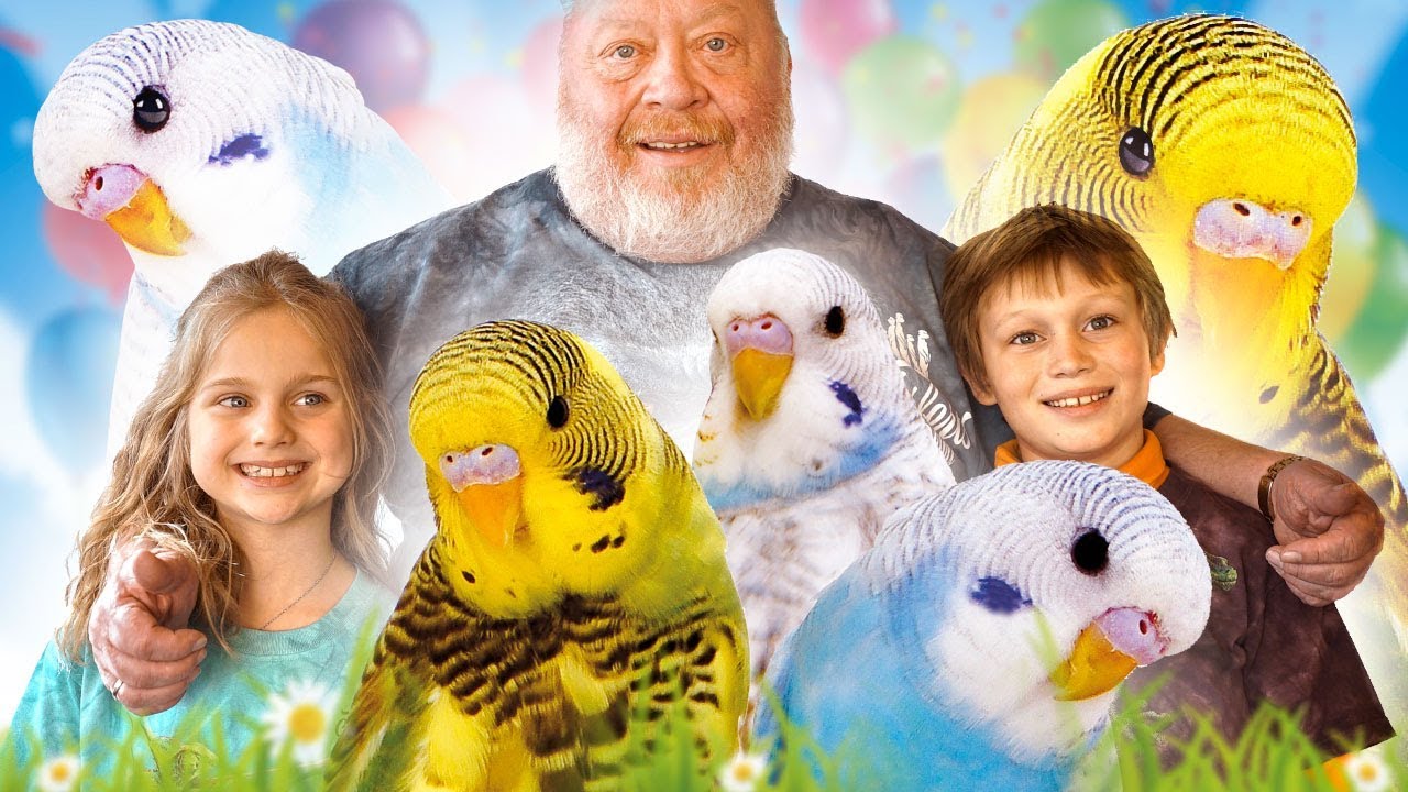 Kinder fragen Norbert I WELLENSITTICHE I NORBERTS WELT | Zoo Zajac
