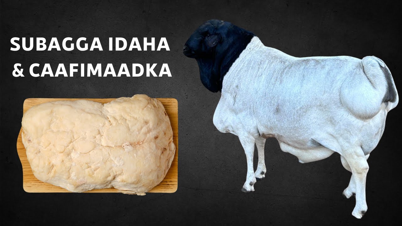 Maxay Dhakhaatiirtu Ku Sheegeen Subagga Idaha
