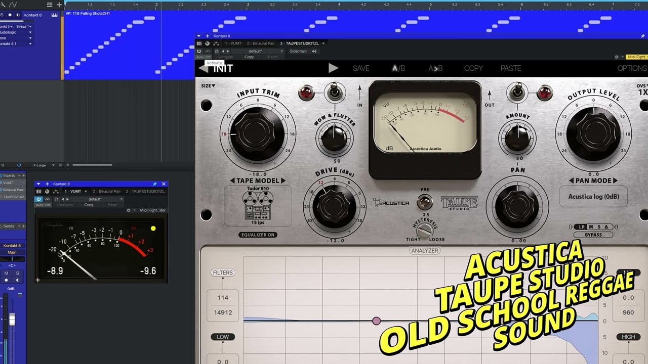 Acustica Audio Taupe Studio // Studer audio demo old school tape saturation reggae sound tape plugin