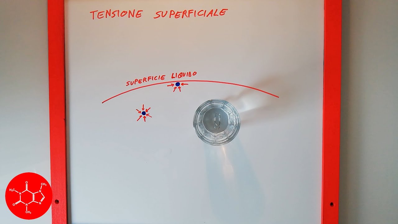 Tensione superficiale di un liquido e galleggiamento graffetta di ferro sull'acqua - lezione chimica