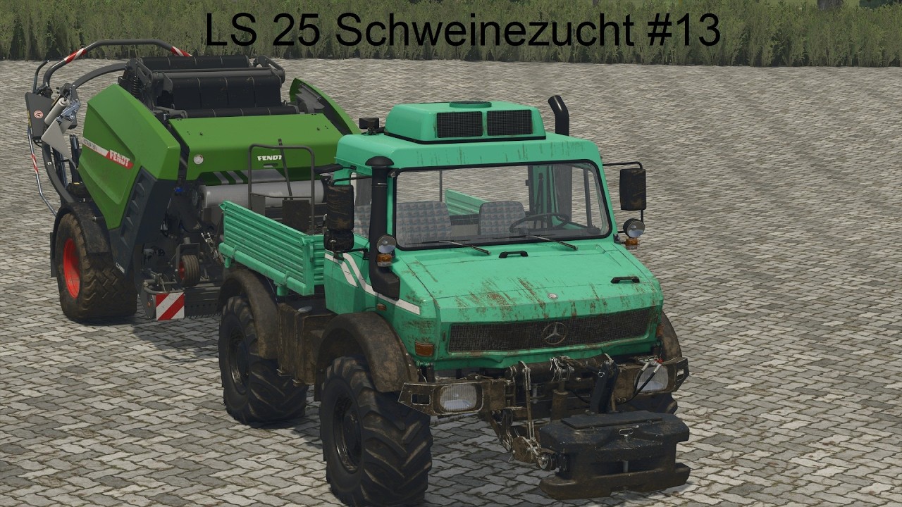Letzter Großer Grass schnitt fürs erste LS 25 Schweinezucht #13
