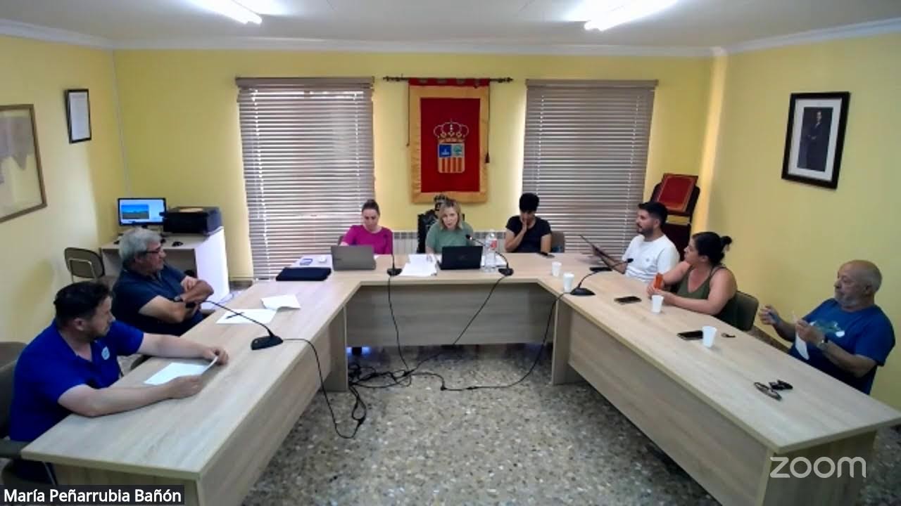 Pleno ordinario PLN/2025/2
