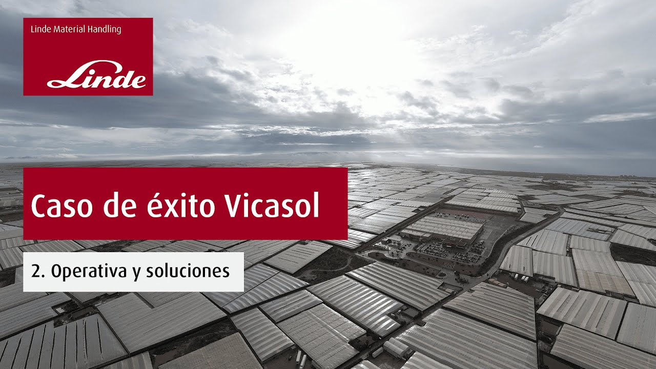 Capítulo 2 - Conoce la operativa de Vicasol