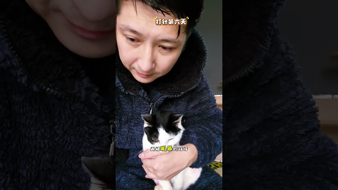 吃多少苦才够#可怜的小猫#cat #猫咪被撞断腿后续#猫鼻支#猫咪不吃不喝