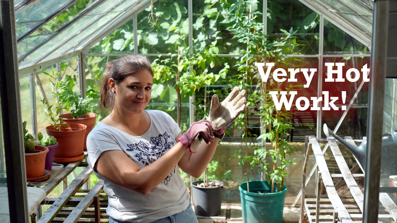 Fixing a Broken Greenhouse!