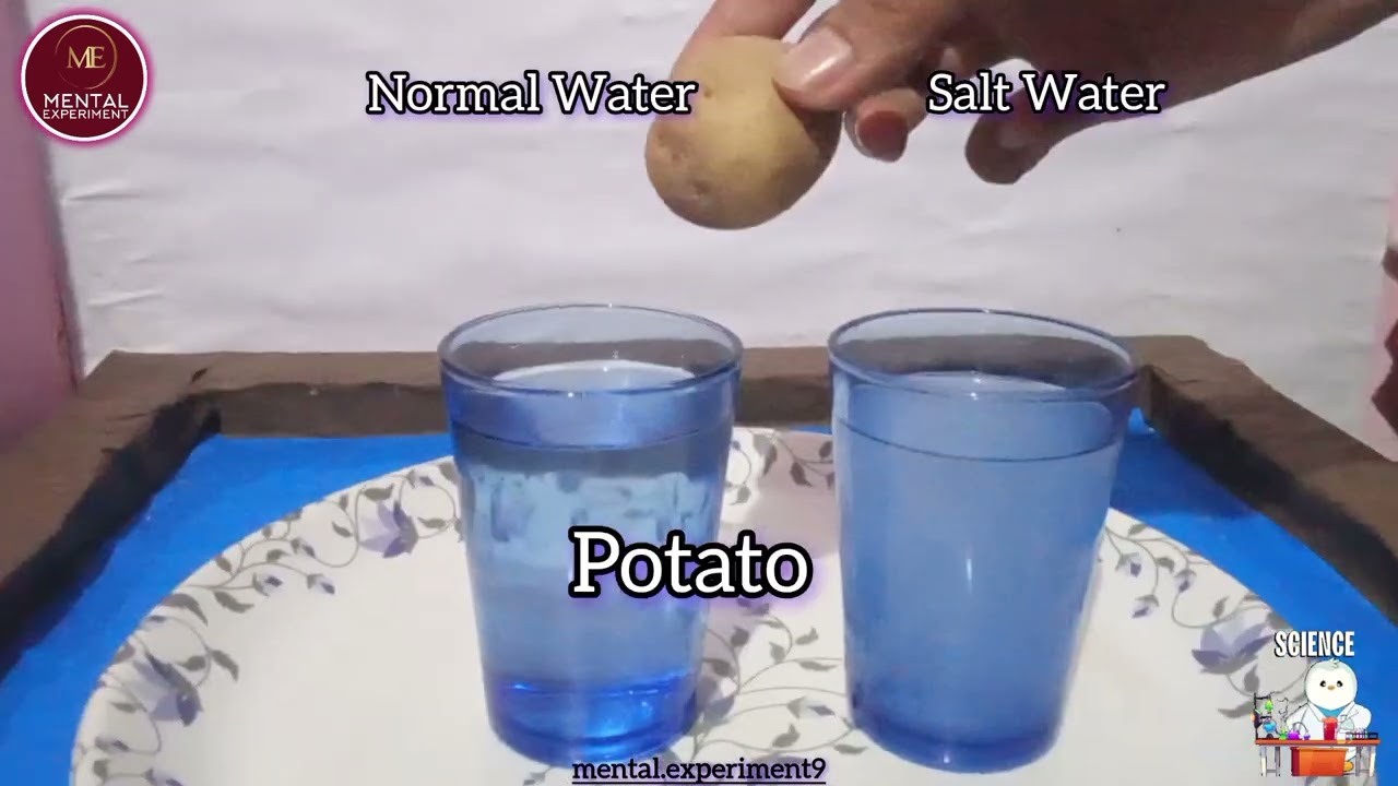 potato experiment | simple experiment | science experiment 