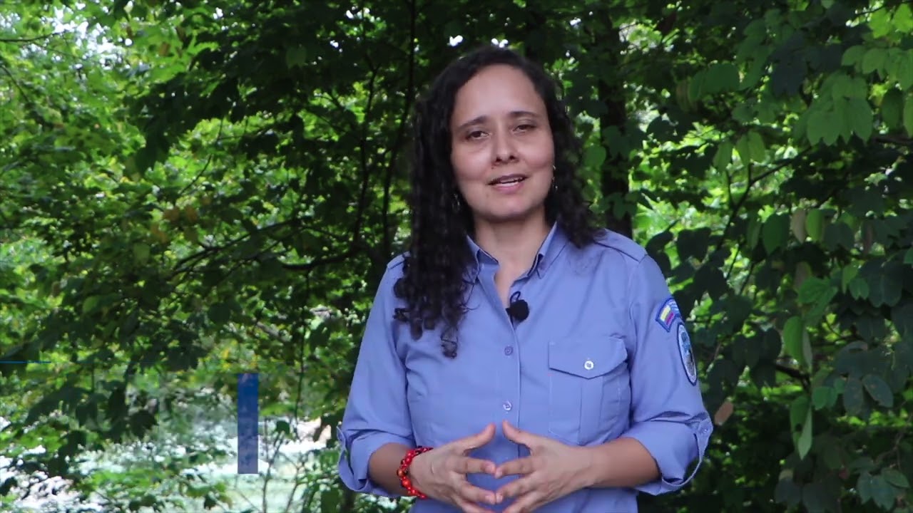Proyecto de conservación y uso sostenible de recursos naturales (KFW -HECO) herencia Colombia