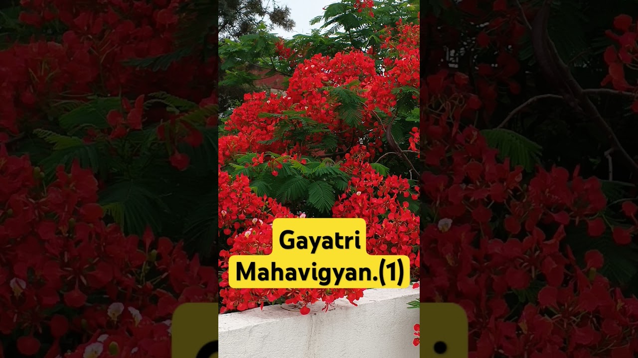 #gayatrimahavigyan #dsvv #akhandjyoti #awgp #india #shantikunj  #parampujyagurudev