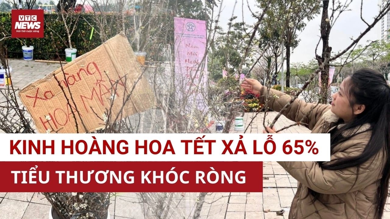 Cú sốc thị trường: Gốc đào Tết 8 triệu nay chỉ còn 