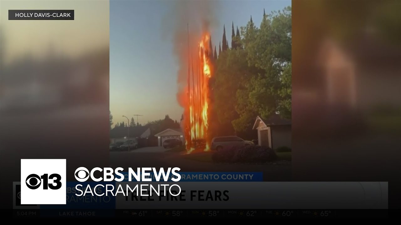 Tree fires in Sacramento County neighborhood leaves residents on edge