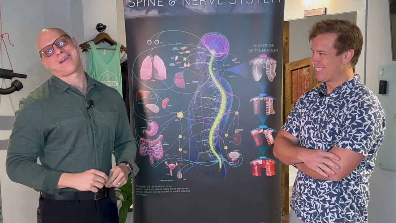 Brain/Organ Connection // Chiropractic and the Nervous System, Part 1