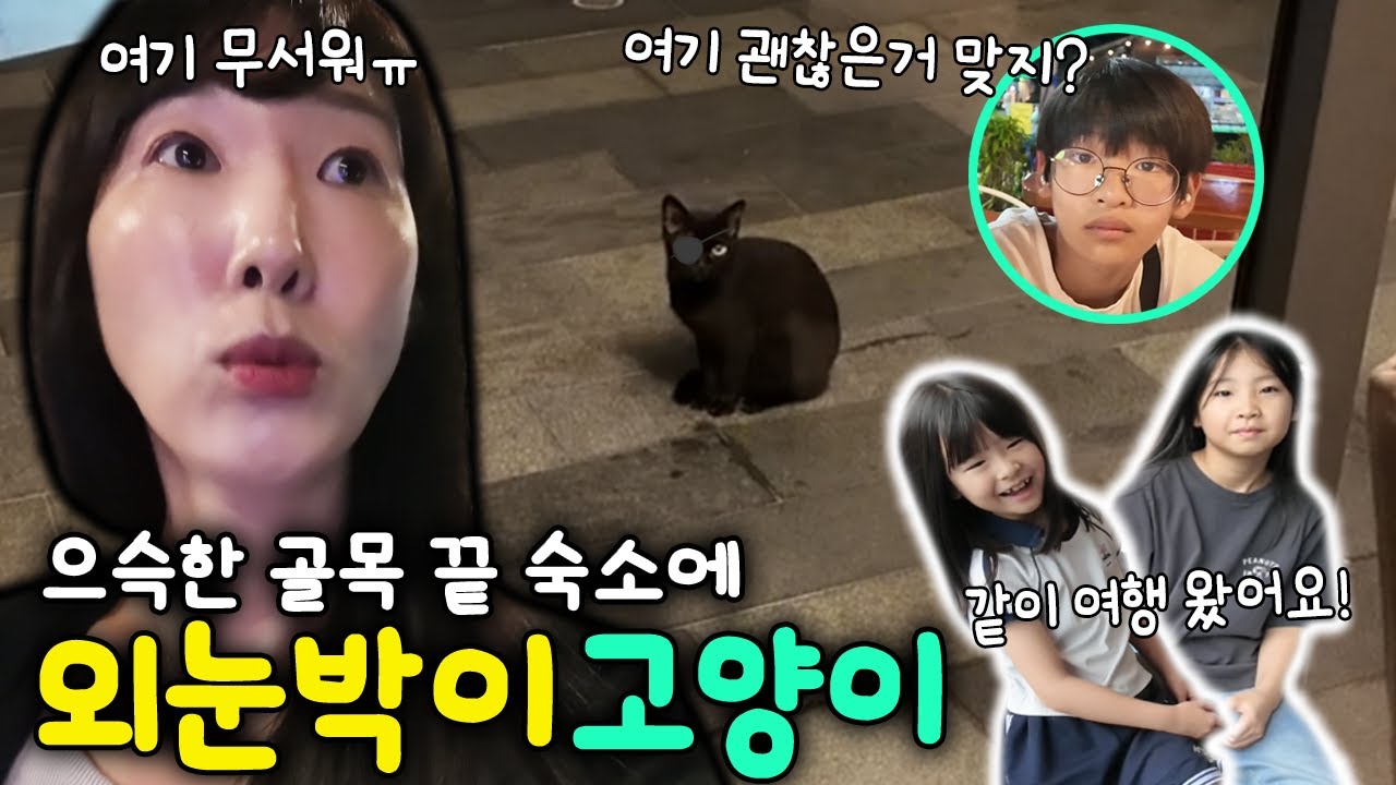 푸켓 여행 갔는데 숙소가 으슥한 골목 끝에 있고 안에는 한쪽 눈 없는 고양이가?! 