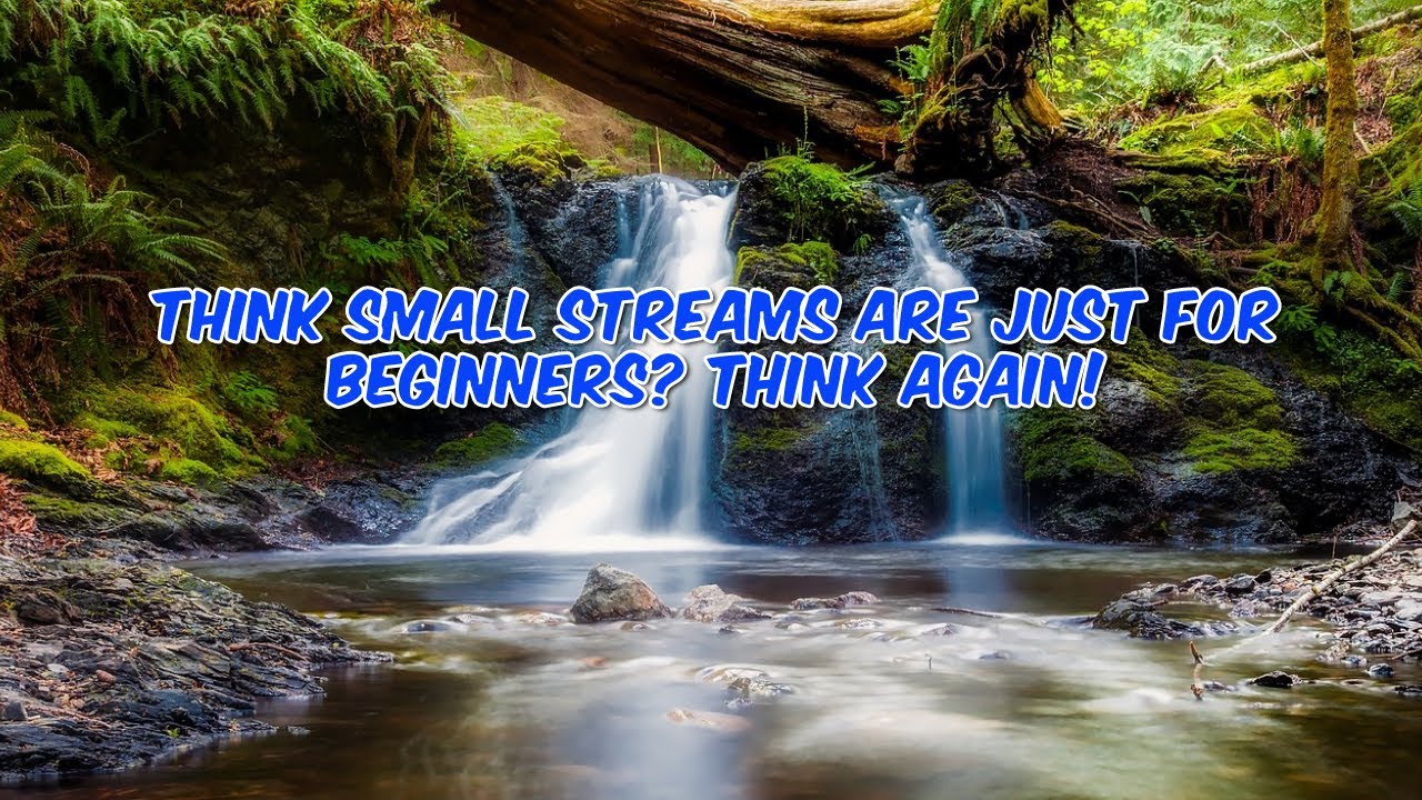 4 Reasons Fly Fishing Small Streams Will Make You a Better Angler