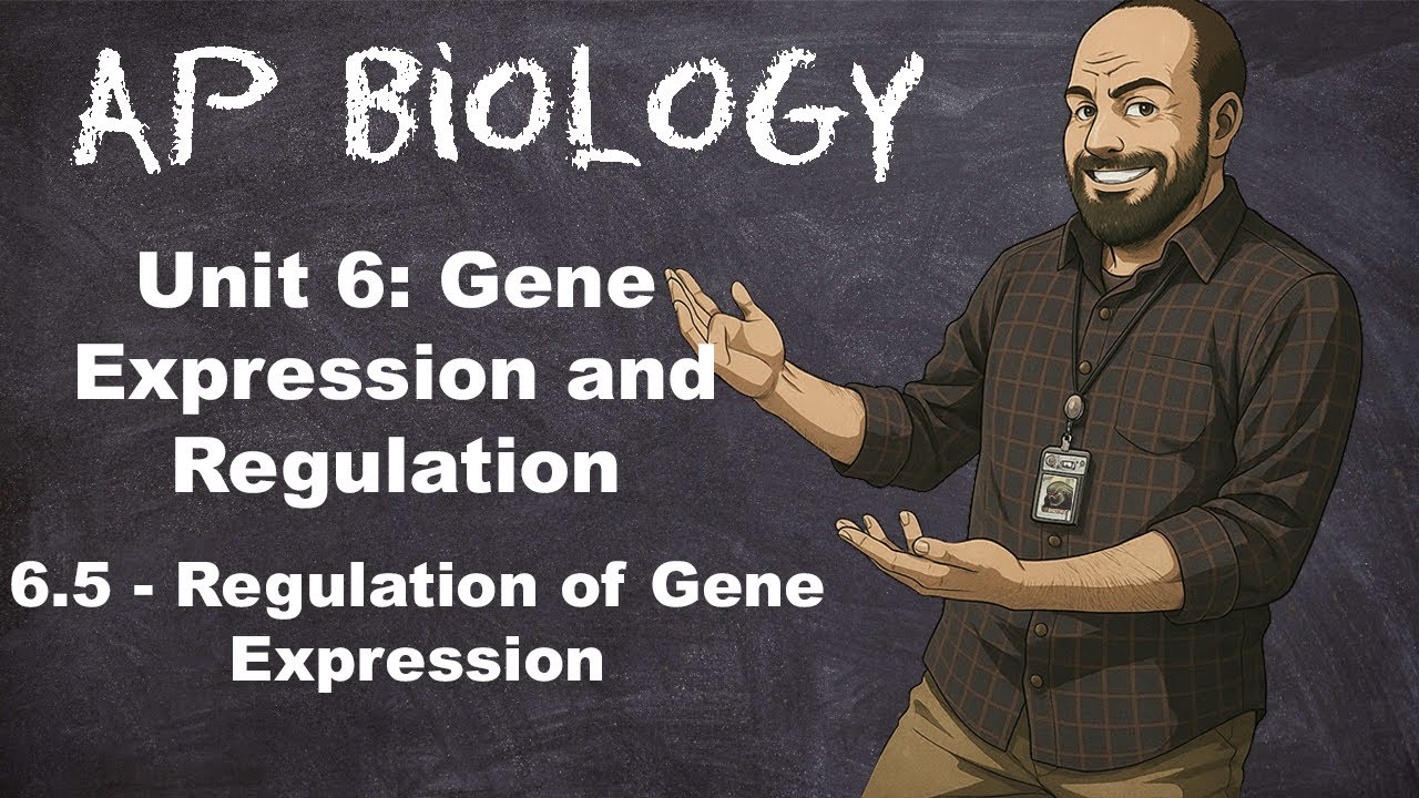 AP Bio, Раздел 6 – Тема 6.5 – Регуляция экспрессии генов
