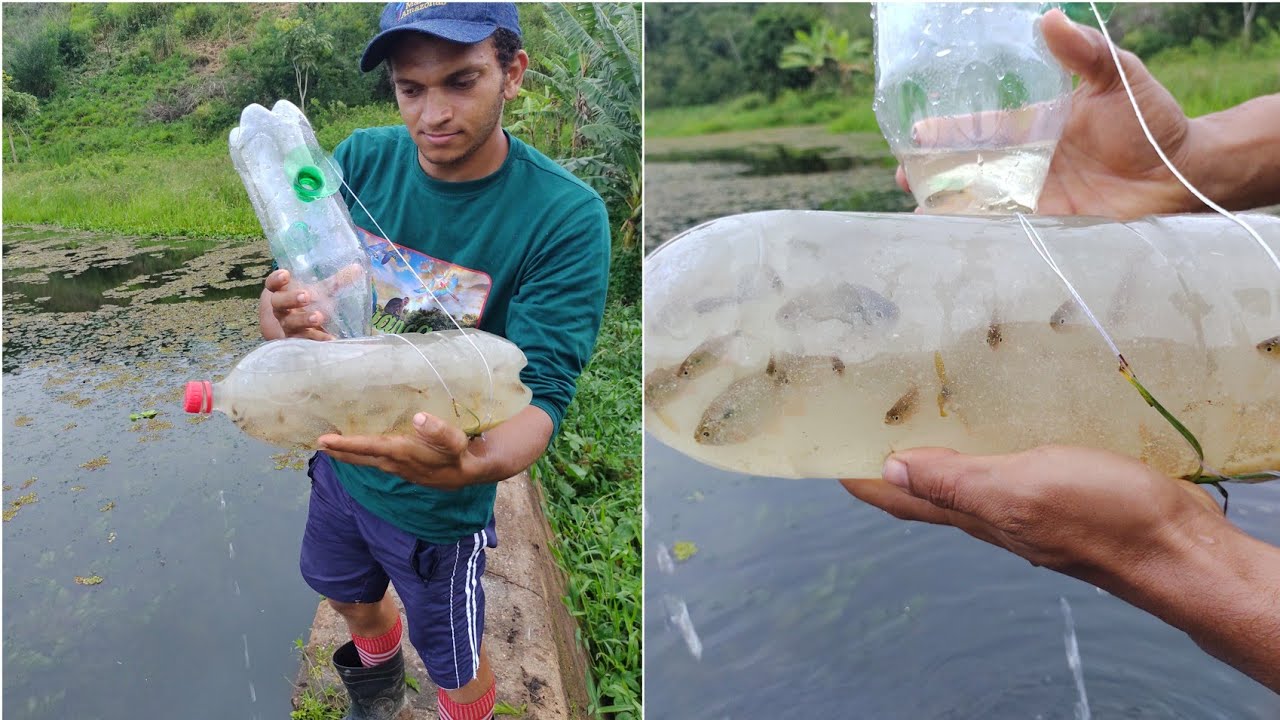 como fazer armadilha para lambari (piaba) //mostrando como está a barragem e pescando de anzol🎣