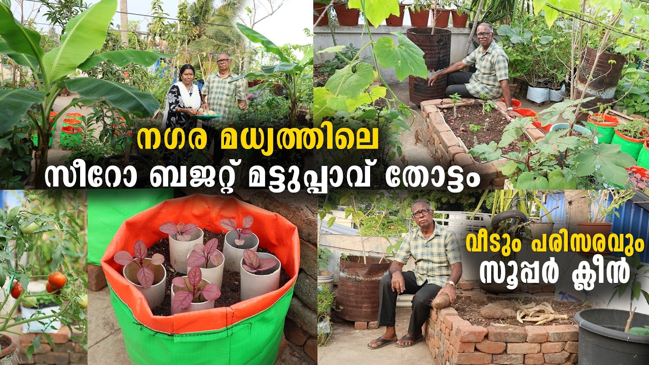 ഒരു രൂപ പോലും ചിലവില്ലാതെ ​ന​ഗര മധ്യത്തിലെ മട്ടുപ്പാവ് തോട്ടം | Low Cost Homemade Farming System