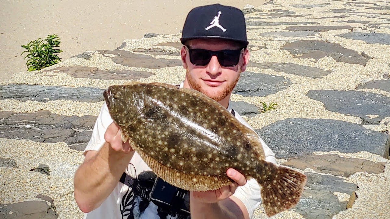 Fluke Fishing Shark River Inlet Belmar New Jersey