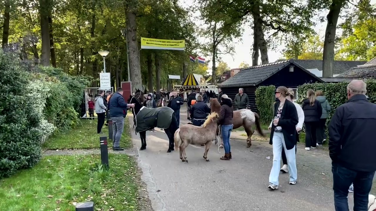 Zuidlaardermarkt 2024