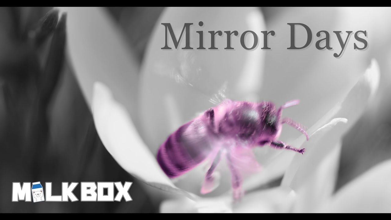 【MILKBOX】Mirror Days MV