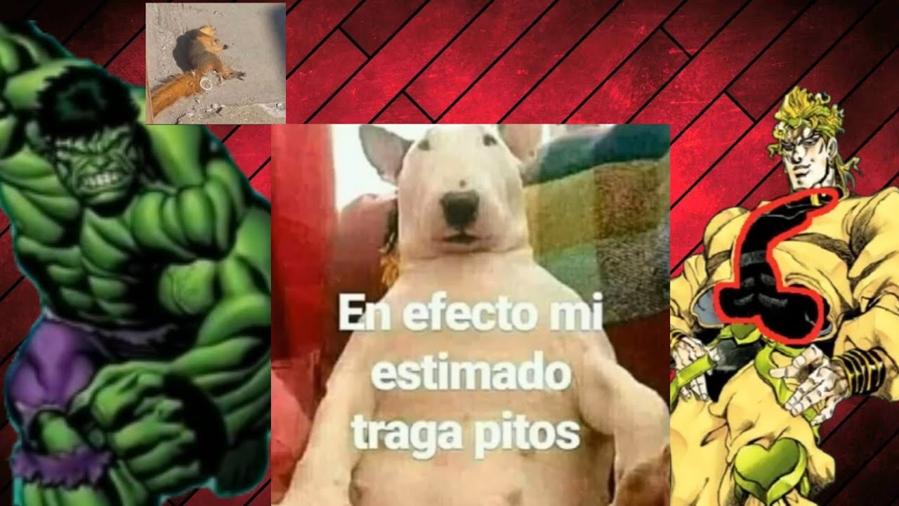 Todos los chistes del inspector de pitos Pt 1