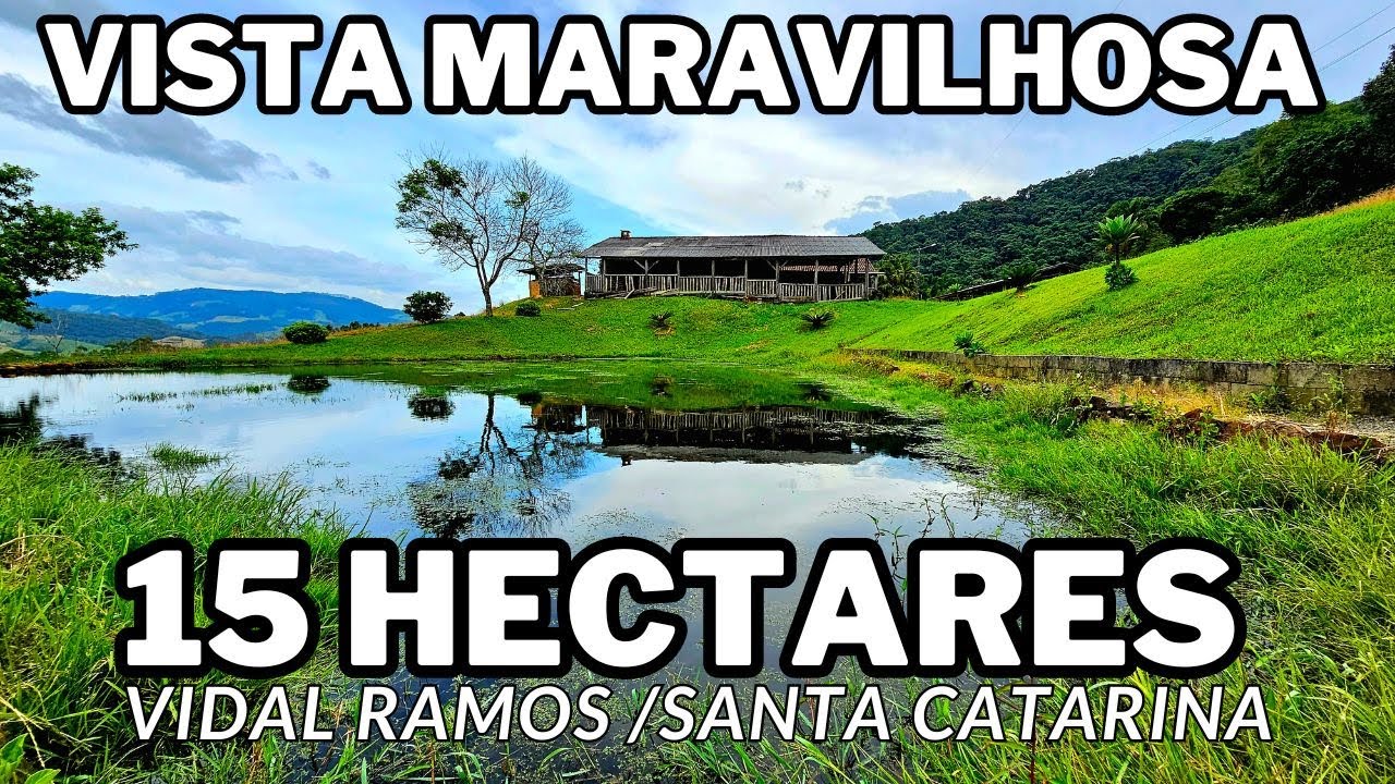 SÍTIO COM 15 HECTARES EM LEOBERTO LEAL - SANTA CATARINA !