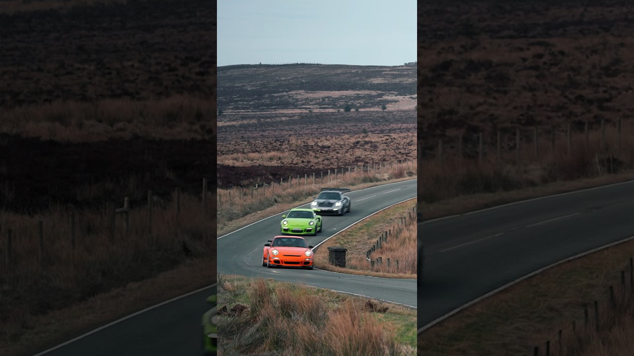 The RS family 