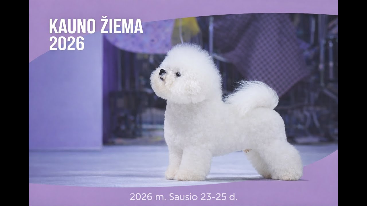 LKMS Ringas 6 „KAUNO ŽIEMA’26“ „KAUNO WINTER'26
