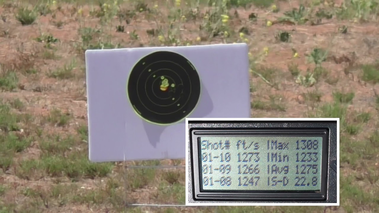 Revisit CCI AR Tactical in My Vudoo Gunworks Rifle