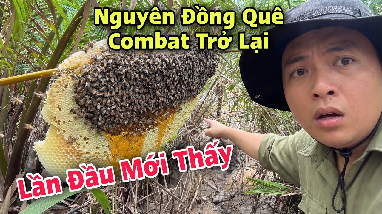 Nguyên Đồng Quê Combat Trở Lại Và Cái Kết Bất Ngờ 