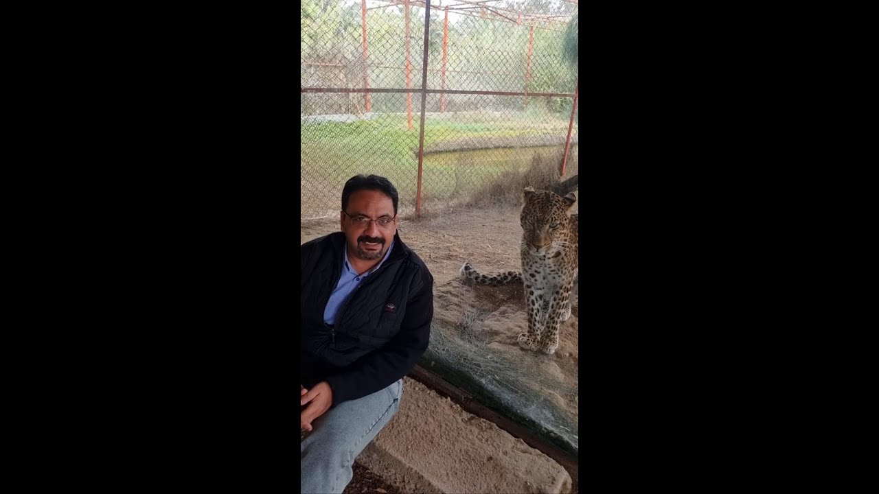 اما مراتك تقولك خرجني خروجه رومانسيه وتوديها جنينه الحيوانات