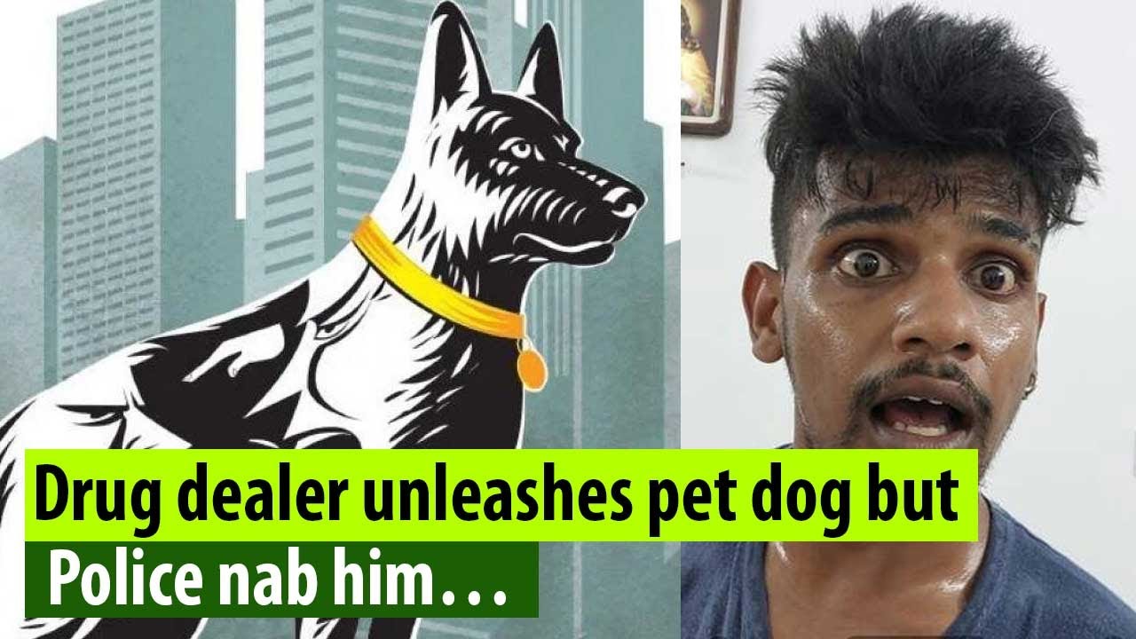 Kochi drug case: Police arrests drug dealer who tried unleashing pet dogs on excise officers!