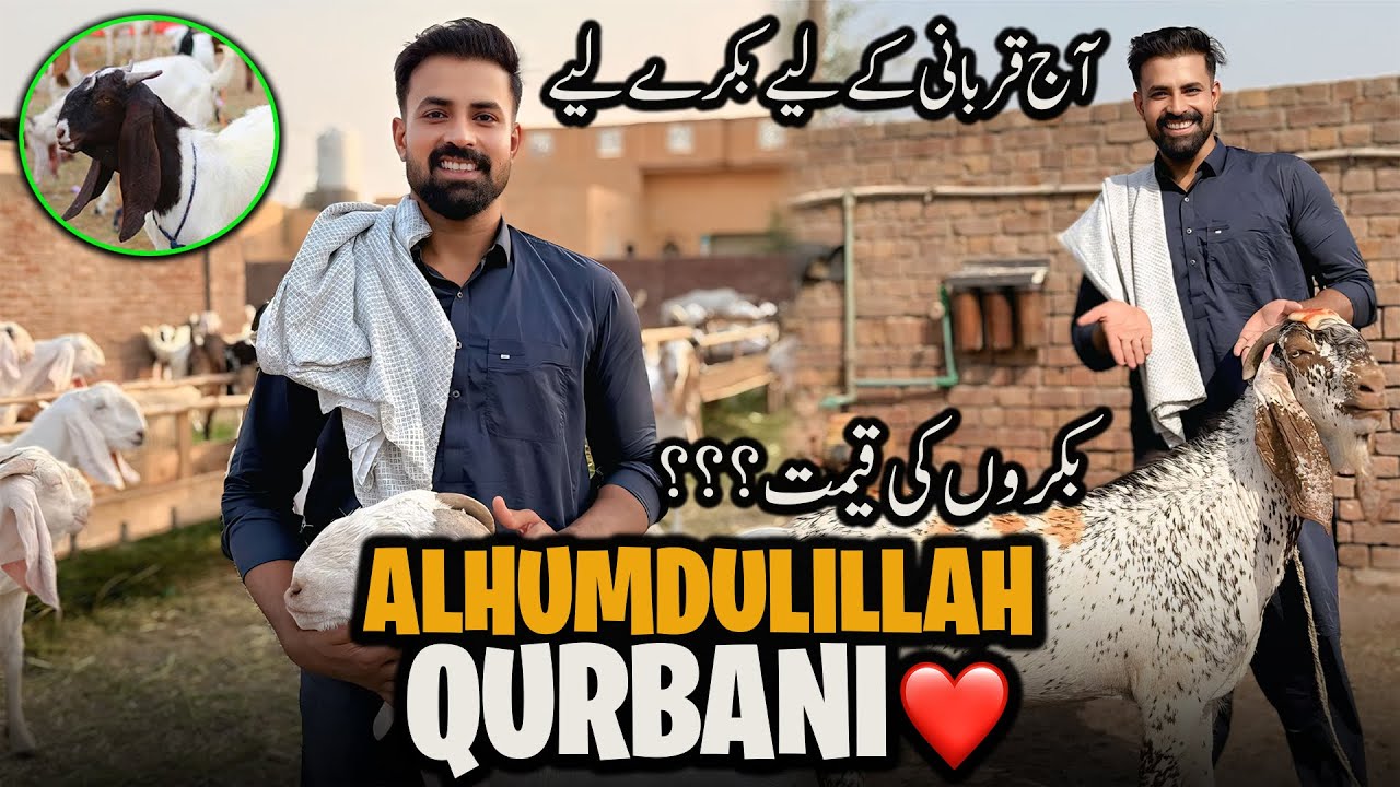 Aj Waqar Bhinder Qurbani K Liay Bakry Leny Gaya 😍 | Alhumdulillah ❤️ | بکروں کی قیمت ؟؟؟