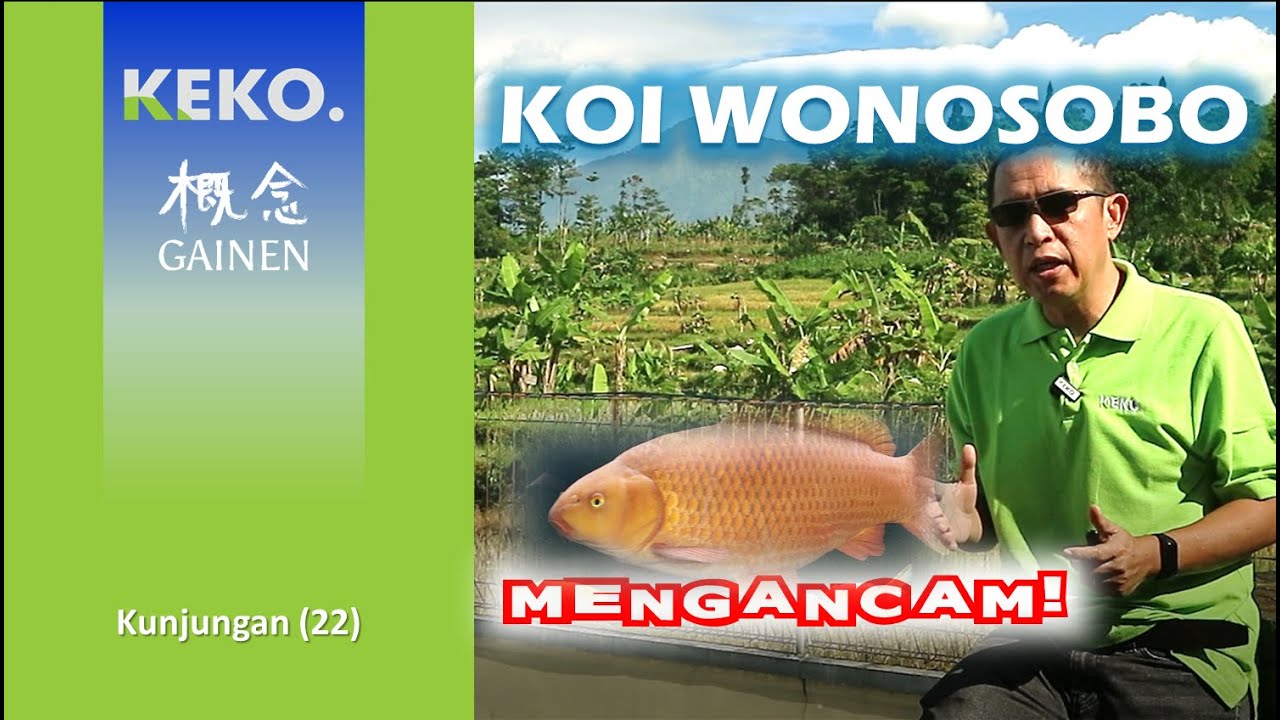 KOI WONOSOBO MENGANCAM | Potensi Sumber Daya Air Wonosobo | Kunjungan (22)