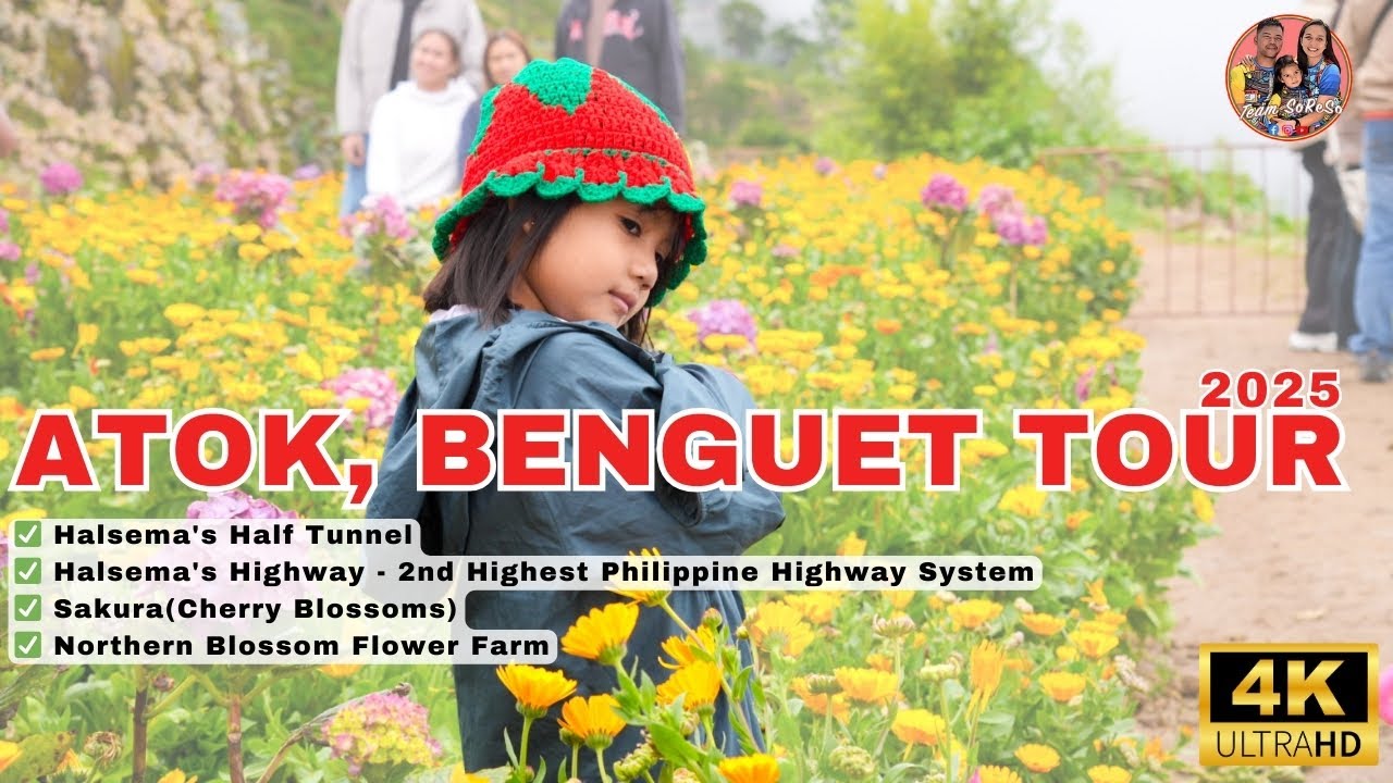 Atok, Benguet Tour: Halsema Highway, Sakura Park, & Northern Blossom Flower Farm 🌸🏞️