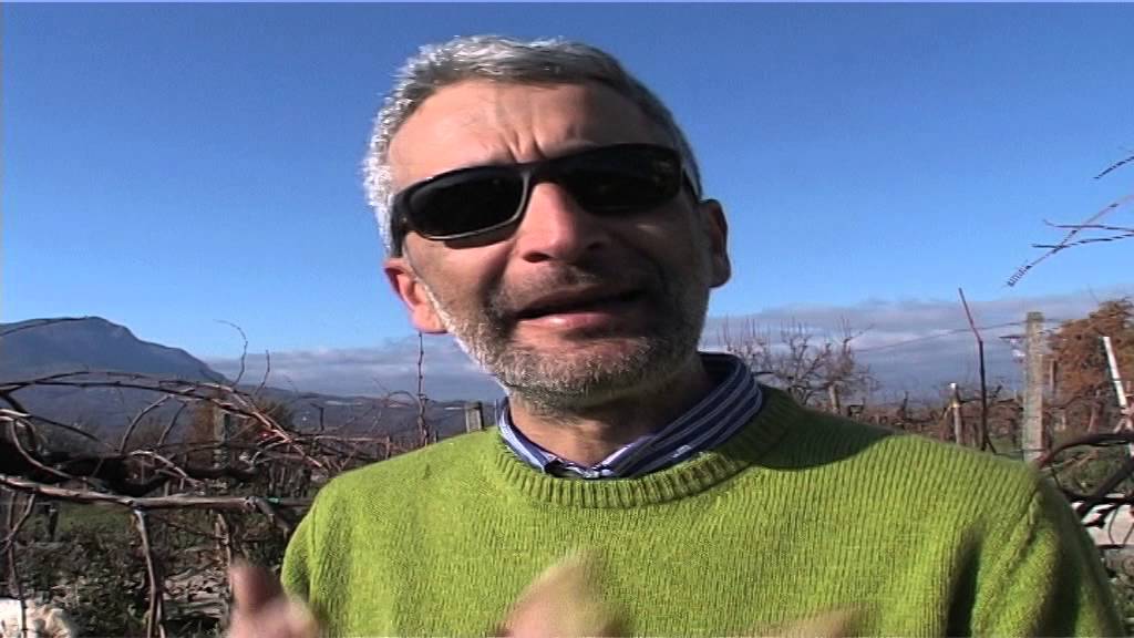 Viaggio nel mondo del vino: il Taurasi di Luigi Tecce