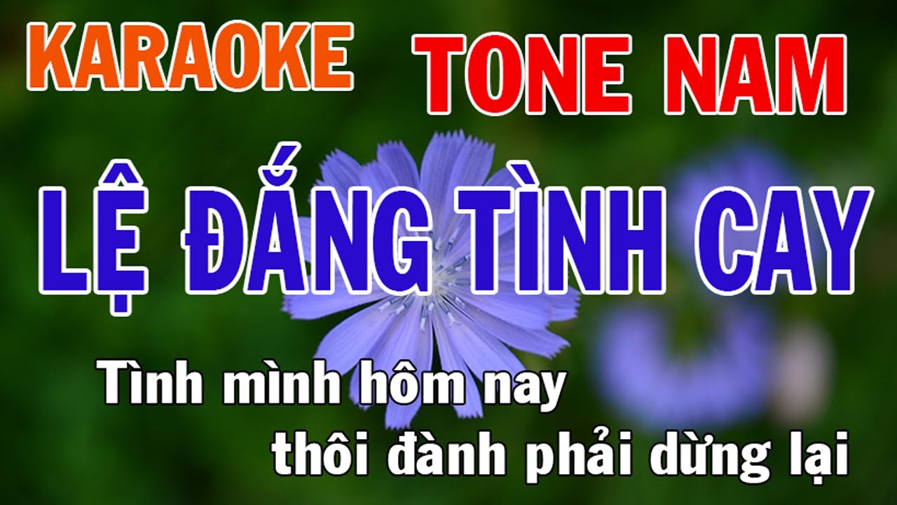Lệ Đắng Tình Cay Karaoke Tone Nam Nhạc Sống - Phối Mới Dễ Hát - Nhật Nguyễn