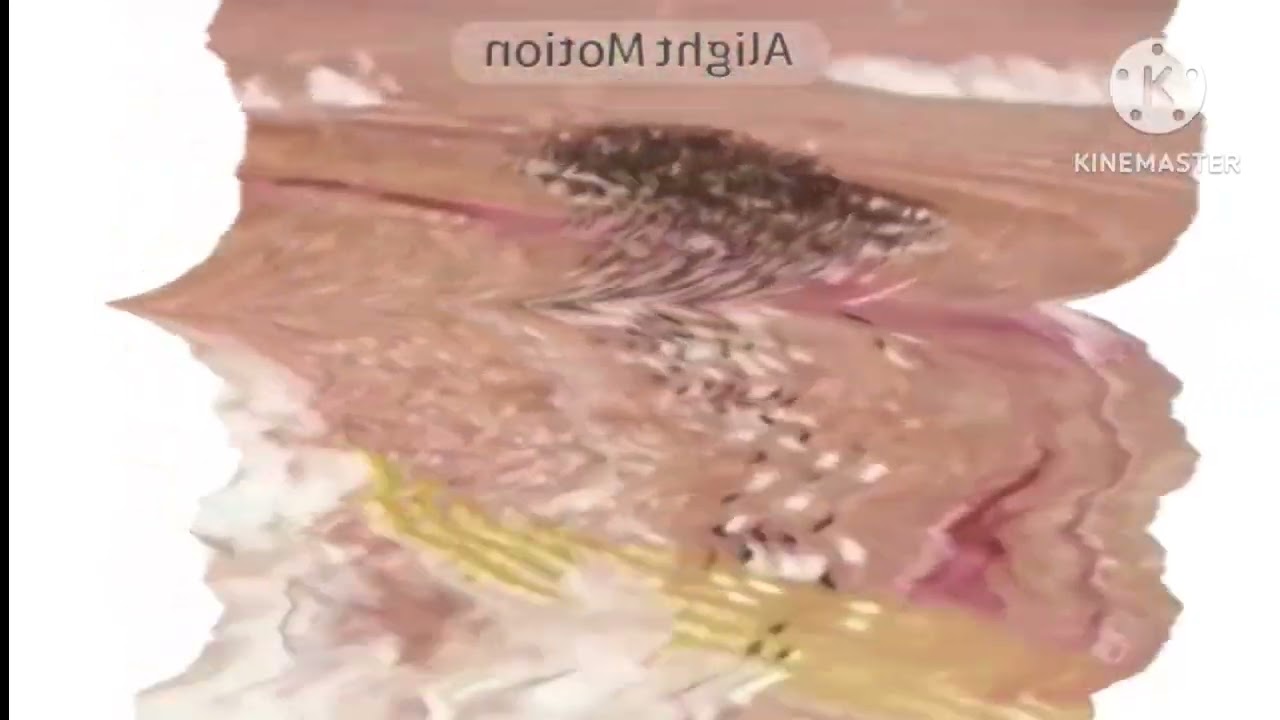 Vinheta Globo Rural Effects (Sponsored by) Klasky Csupo 2001 Effects