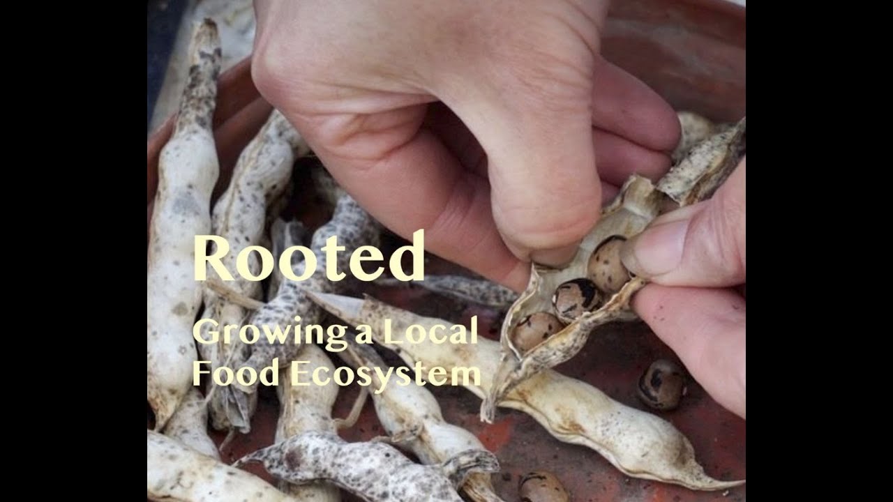 Rooted: Growing a Local Food Ecosystem - [TRAILER]