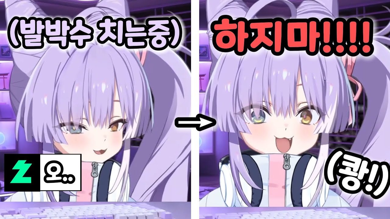 발박수 치는데 이나리들이 너무 좋아해서 화내는 부키