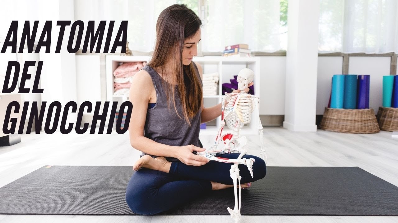 Anatomia del Ginocchio
