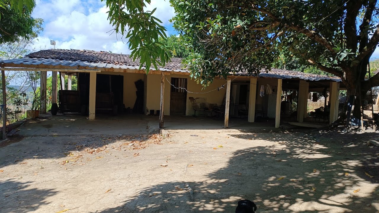 vende um sítio Eldorado da Carajás usado de branquinha 6 hectares e meio $300.000