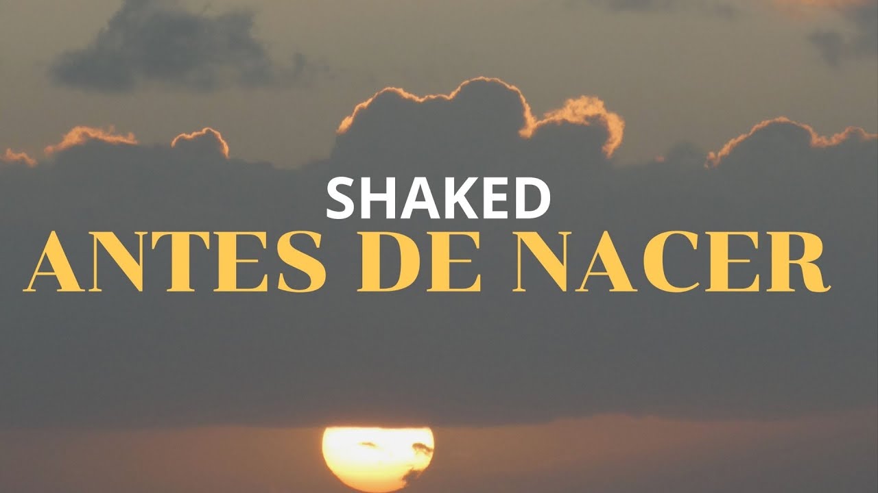 Antes de Nacer (Video Lyric) - Shaked